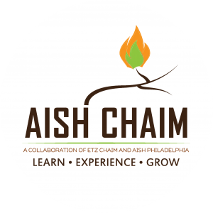Aish Chaim logo